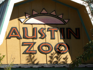 Explore Austin | Relocating | SuiteAmerica | 800-367-9501