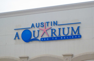 Explore Austin | Relocating | SuiteAmerica | 800-367-9501